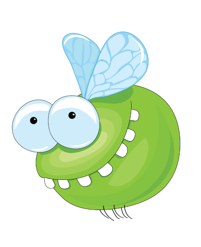 fliege schaut links.png